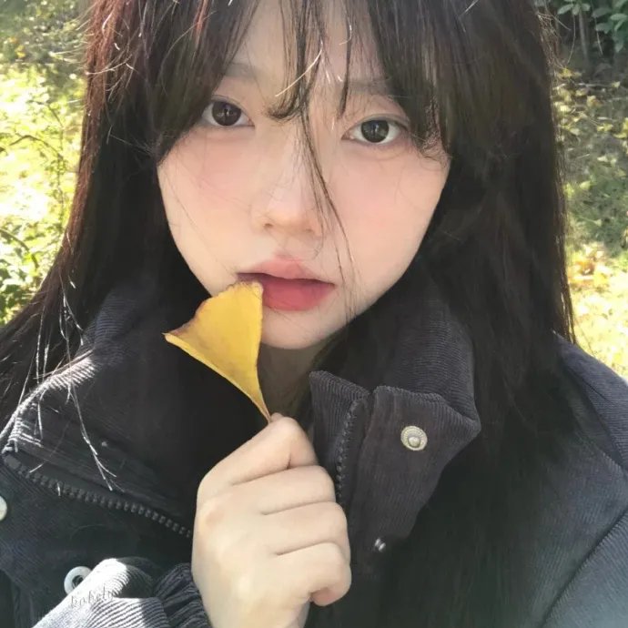 乘著波浪的爱情