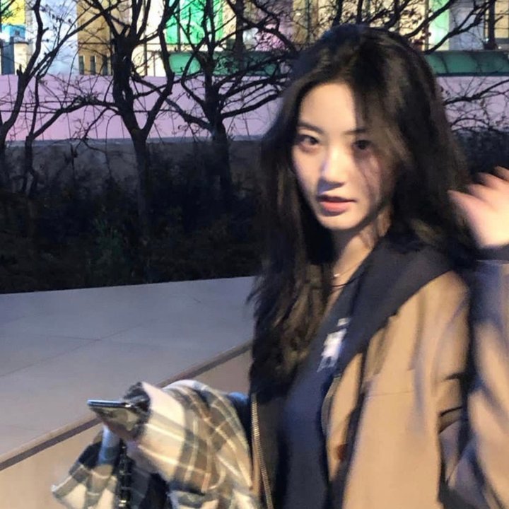 红尾鸽